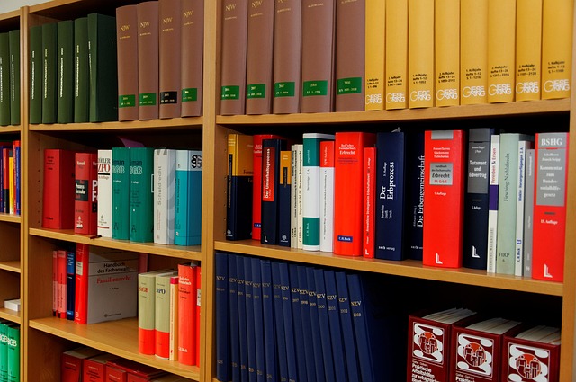 lawyer-attorney-law-judge-640x480-4305252.jpeg